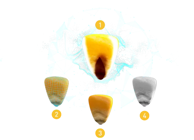 Optical sorting technologies: RGB, geometry, infrared, transmission 