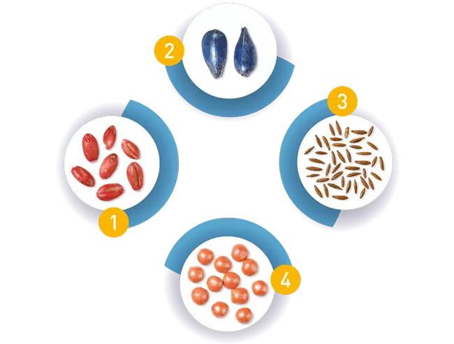 Seed treatment techniques